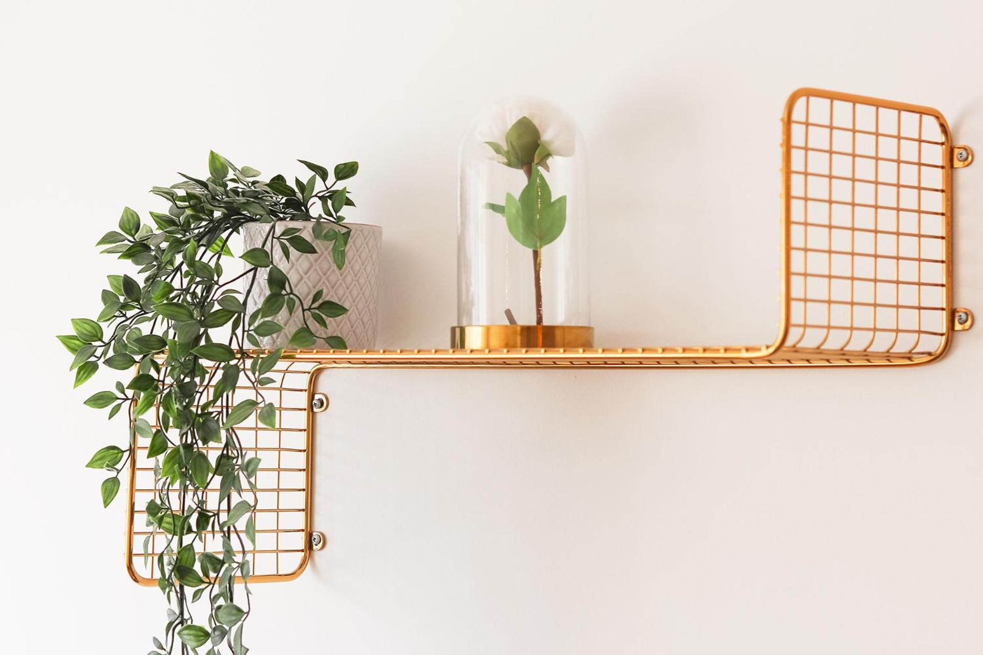 Laranjeiras Design By Homing Appartement Lissabon Buitenkant foto